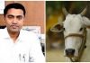 गौरक्षा की ठेकेदार बनी BJP हुई एक्सपोज़! गोवा के CM बोले- सूबे में बीफ़ की कमी नहीं होने दूंगा